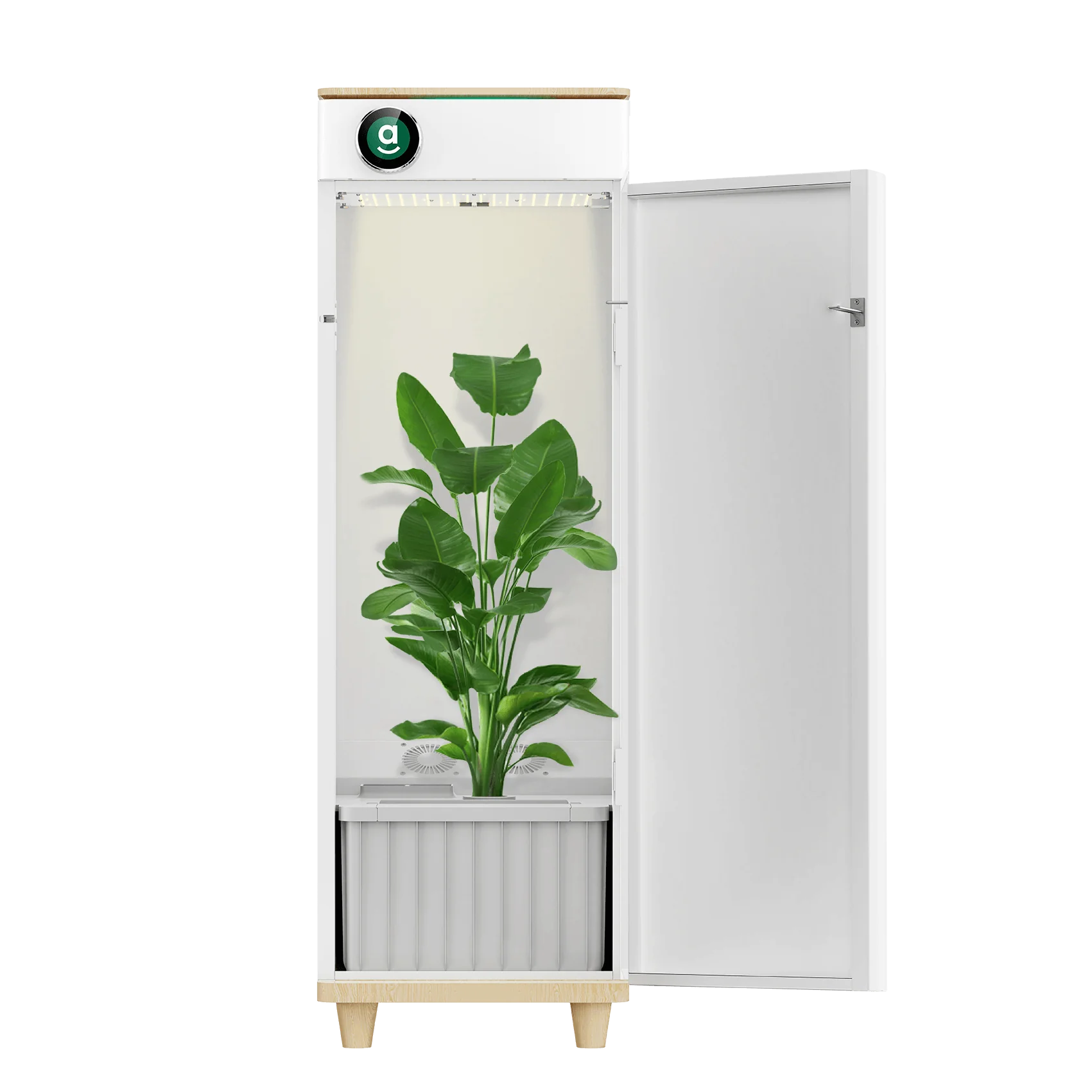 Hey_abby_420_SE_all_in_one_grow_box_for_beginners