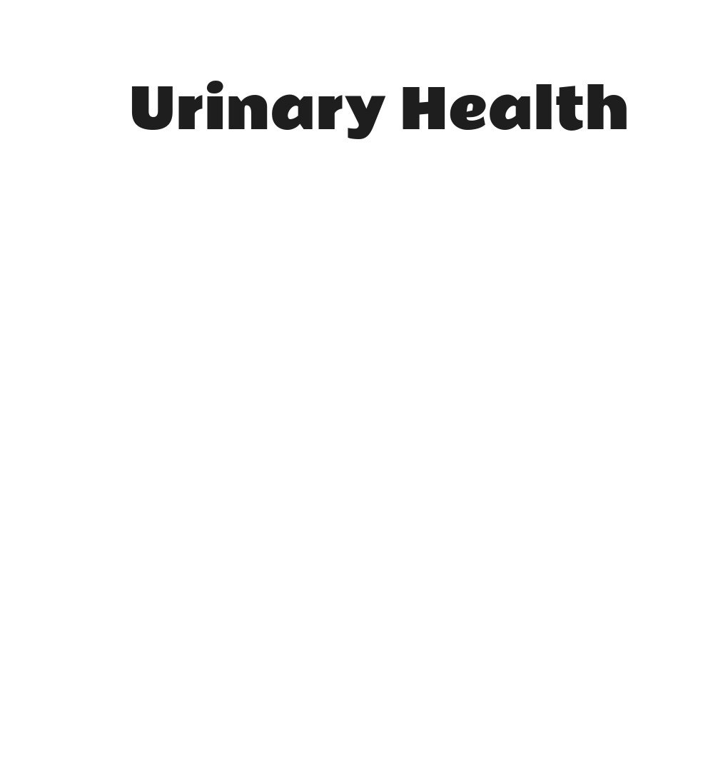 Purina Pro Plan Urinary Tract Health Chicken and Rice Cat Food