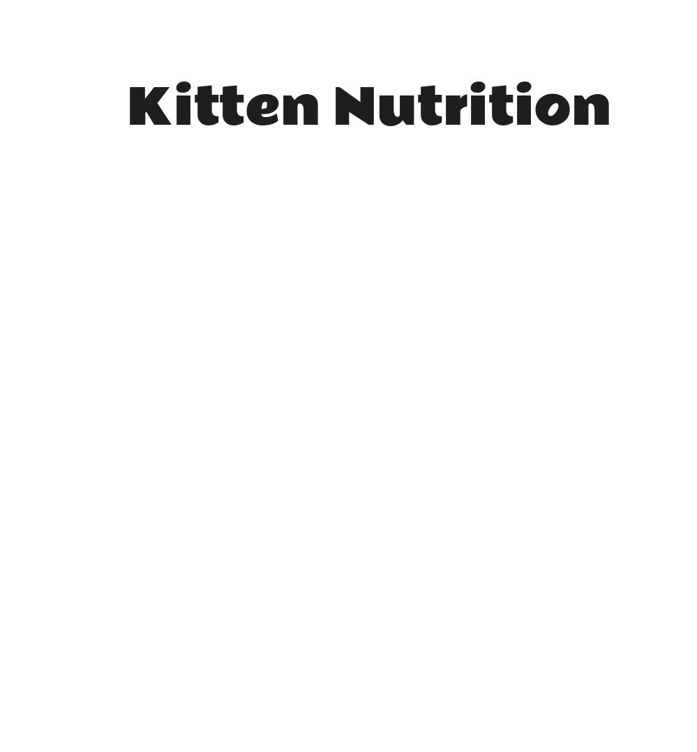 Purina Kitten Chow Nurture Dry Kitten Food with Real Chicken