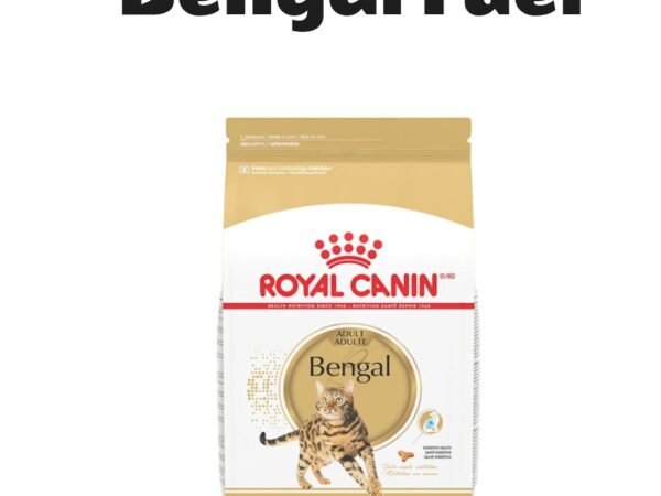 Royal Canin Feline Breed Nutrition Bengal Adult Dry Cat Food