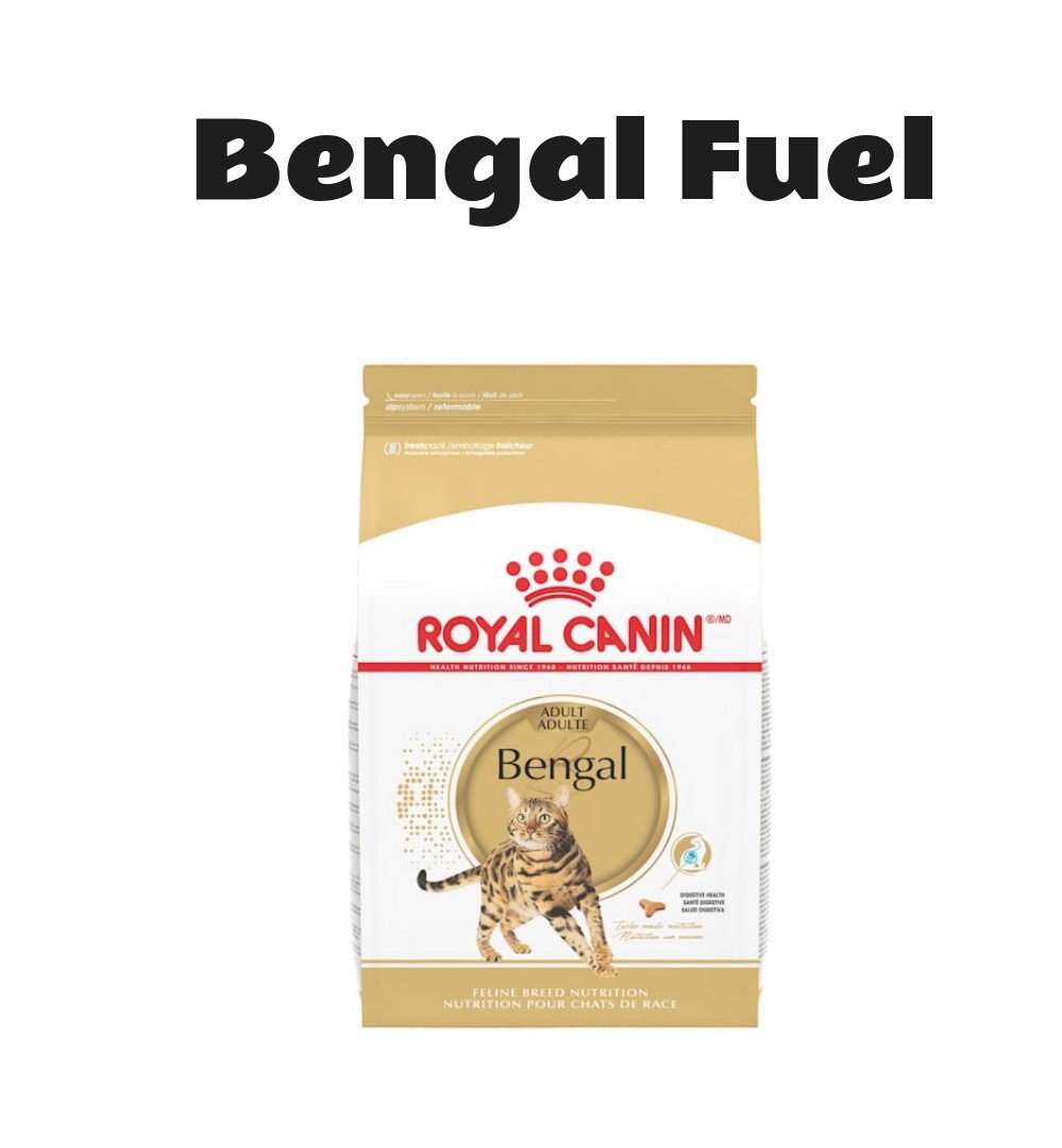 Royal Canin Feline Breed Nutrition Bengal Adult Dry Cat Food