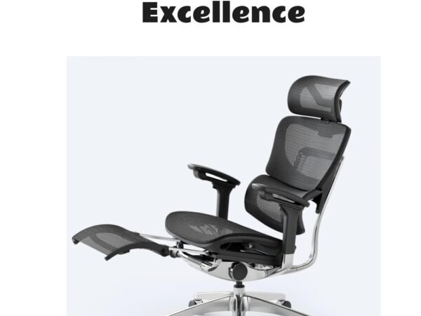 Odinlake O1 Ergo PLUS Flex Mesh Ergonomic Chair with Footrest