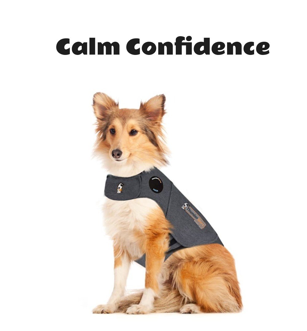 ThunderWorks Thundershirt Dog Anxiety Solution