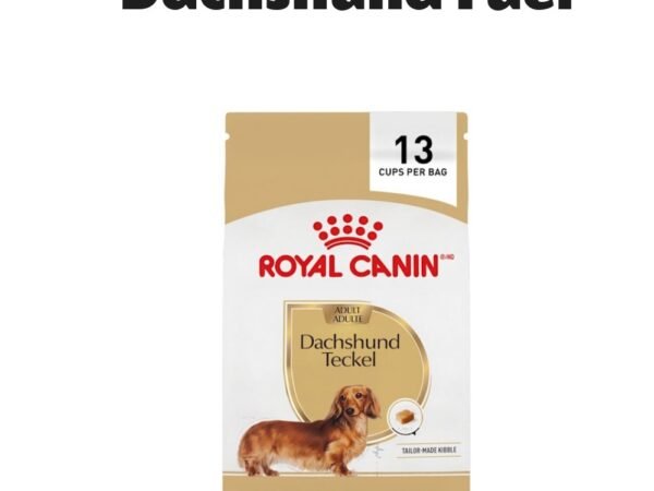 Royal Canin Breed Health Nutrition Dachshund Adult Dry Dog Food