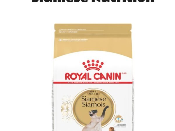 Royal Canin Feline Breed Nutrition Siamese Adult Dry Cat Food