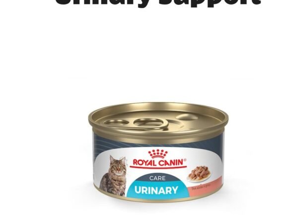 Royal Canin Feline Care Nutrition Urinary Care Thin Slices in Gravy Adult Wet Cat Food