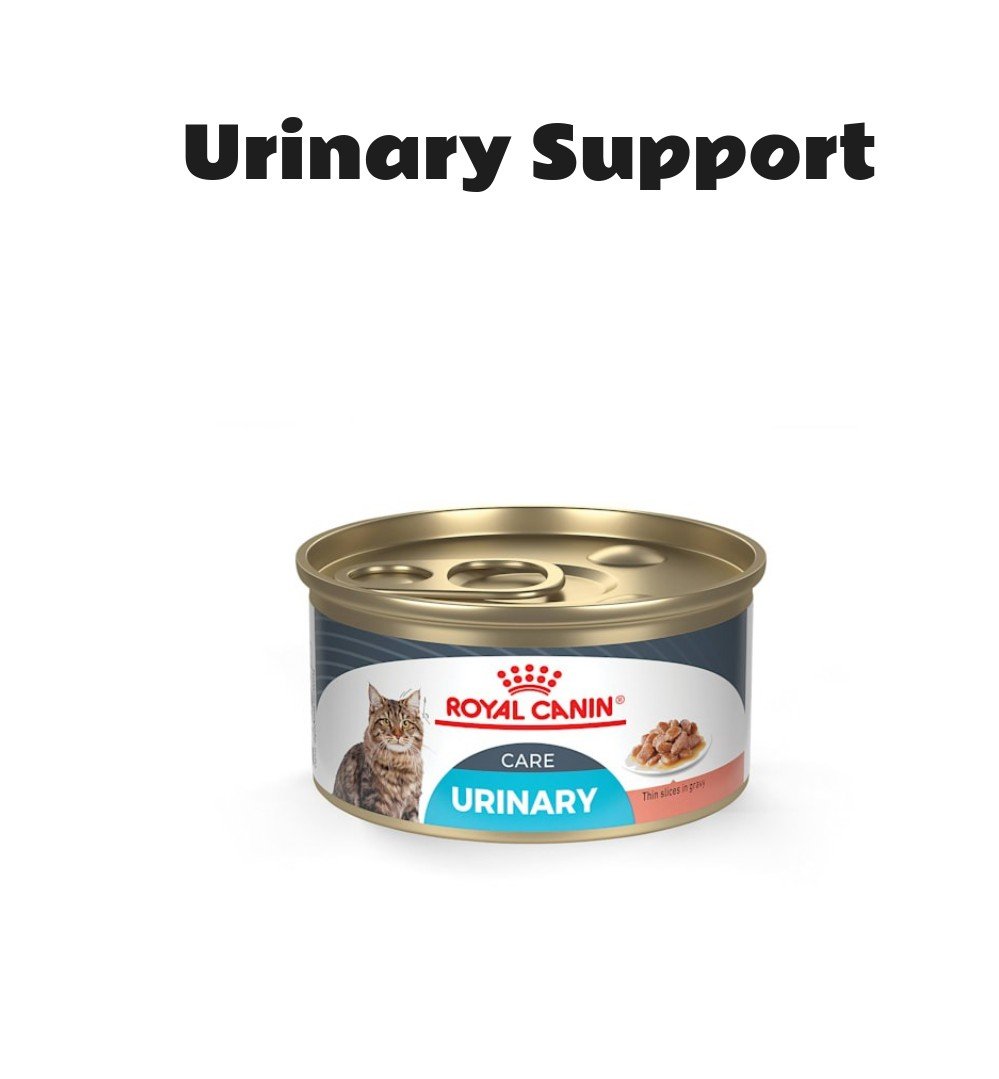 Royal Canin Feline Care Nutrition Urinary Care Thin Slices in Gravy Adult Wet Cat Food