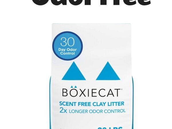 Boxiecat Unscented Odor Control Clumping Clay Cat Litter