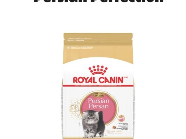Royal Canin Persian Kitten Dry Cat Food