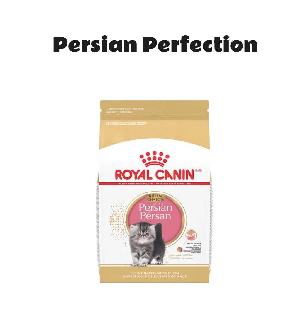 Royal Canin Persian Kitten Dry Cat Food