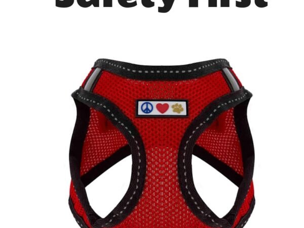 Pawtitas Reflective Mesh Dog Harness