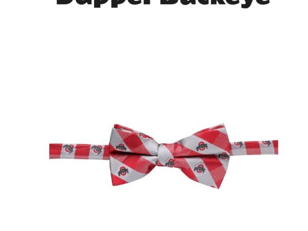 Ohio State Buckeyes Check Bow Tie
