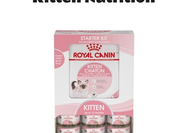 Royal Canin Feline Health Nutrition Kitten Starter Kit Thin Slices in Gravy