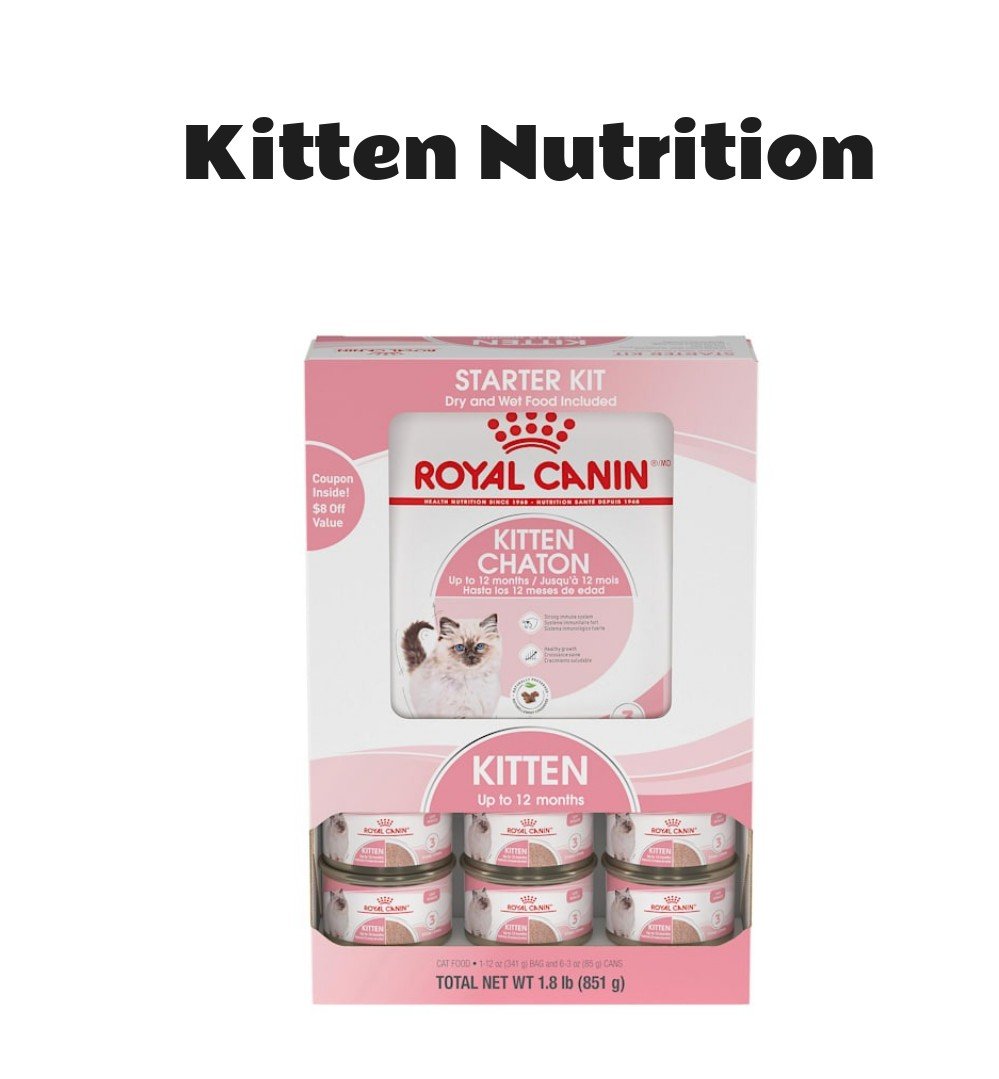Royal Canin Feline Health Nutrition Kitten Starter Kit Thin Slices in Gravy