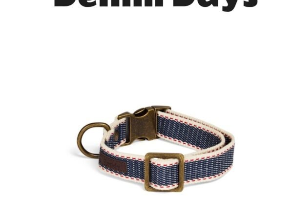 Reddy Denim Dog Collar