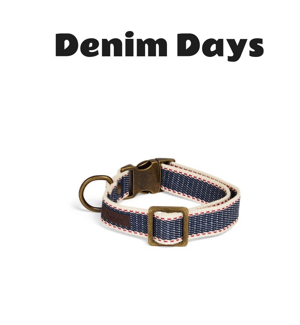 Reddy Denim Dog Collar