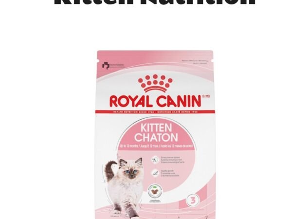 Royal Canin Feline Health Nutrition Kitten Dry Cat Food