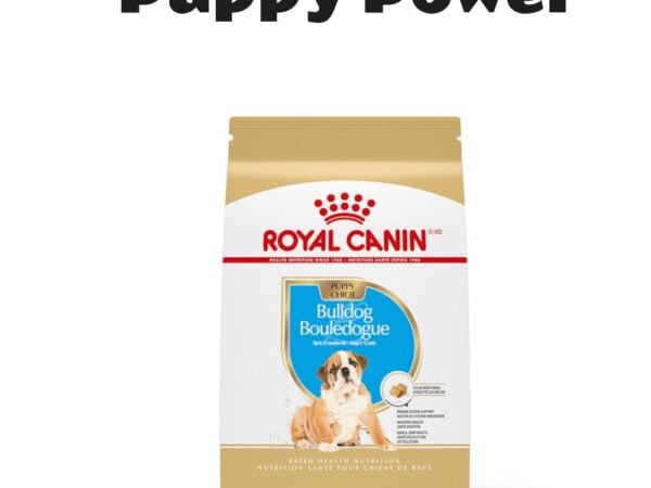 Royal Canin Breed Health Nutrition Bulldog Puppy Dry Dog Food