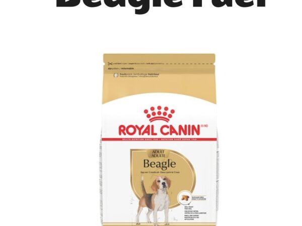 Royal Canin Breed Health Nutrition Beagle Adult Dry Dog Food