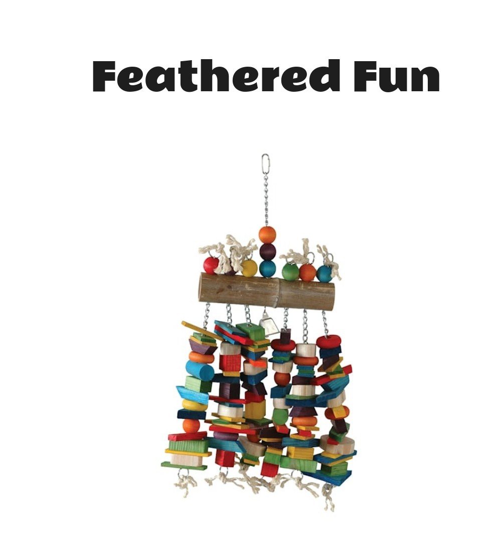 Caitec Bamboo Log Bird Toy with Bell