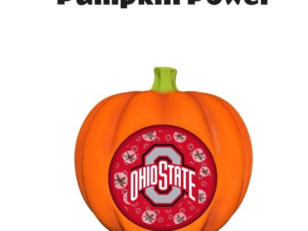 Ohio State Buckeyes 3D Resin Pumpkin
