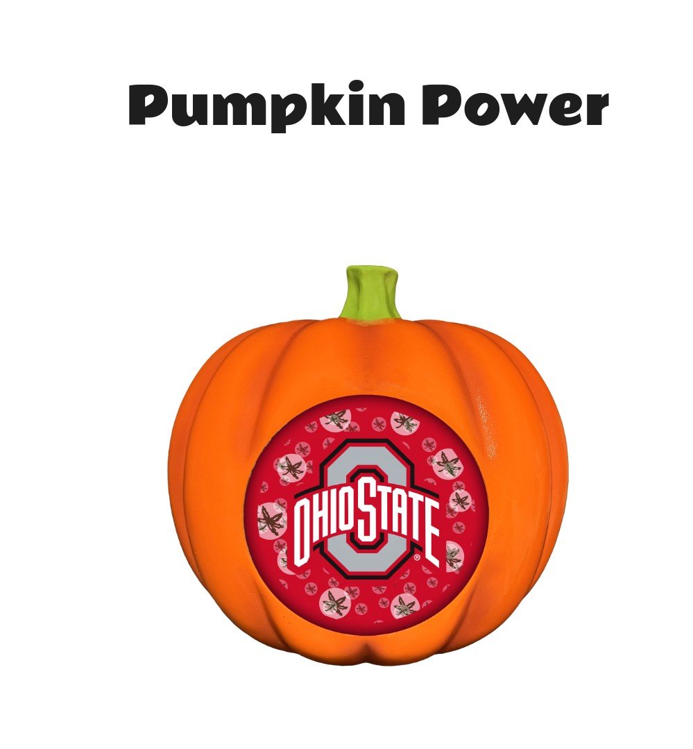 Ohio State Buckeyes 3D Resin Pumpkin
