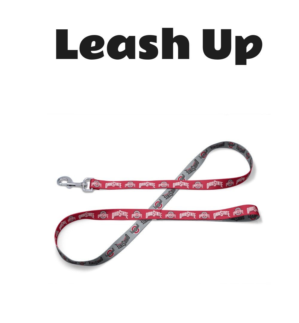 WinCraft Ohio State Buckeyes Pet Leash