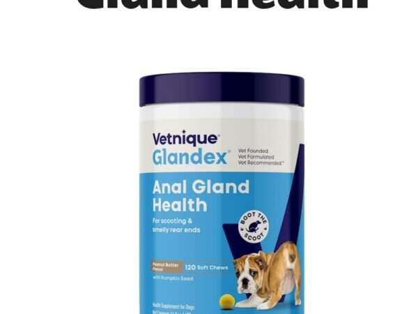 Vetnique Labs Glandex Peanut Butter Flavored Anal Gland Support Dog Soft Chews