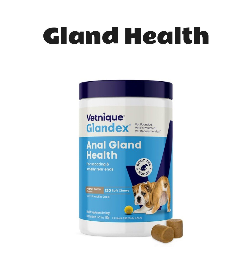 Vetnique Labs Glandex Peanut Butter Flavored Anal Gland Support Dog Soft Chews