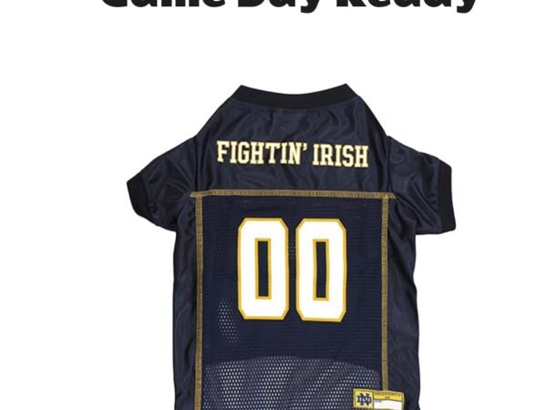 Notre Dame Fighting Irish Mesh Dog Football Jersey