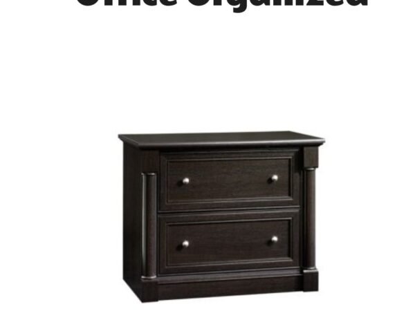 Sauder Palladia File Cabinet Wind Oak Finish