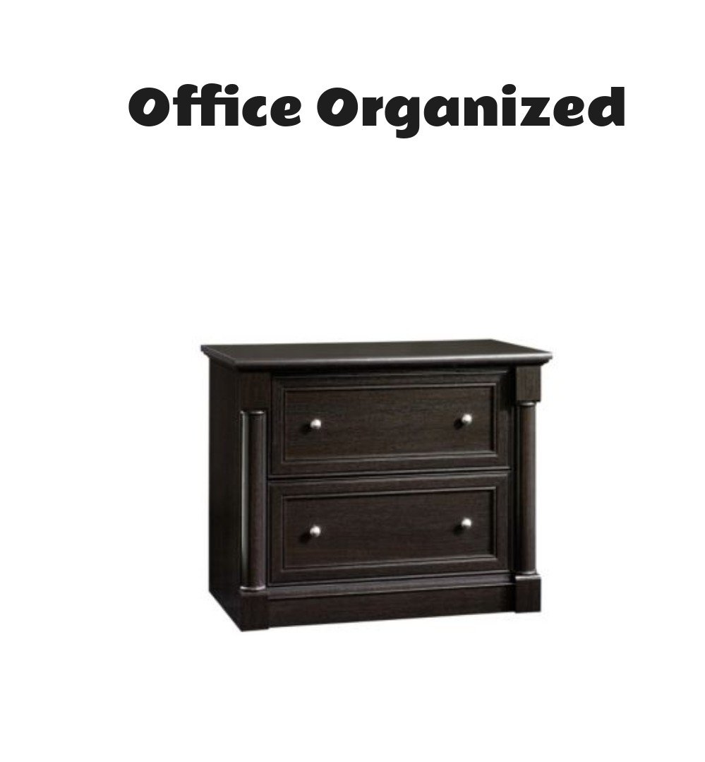 Sauder Palladia File Cabinet Wind Oak Finish
