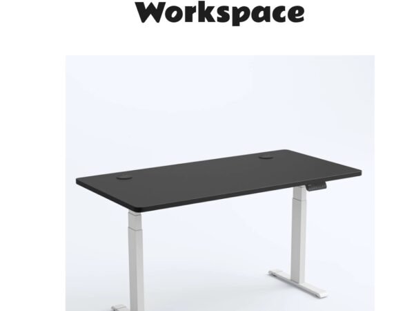OdinLake Dual Motor Standing Desk