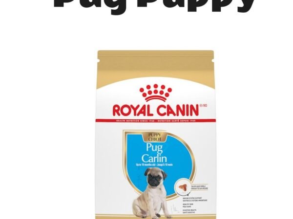 Royal Canin Breed Health Nutrition Pug Puppy Dry Dog Food