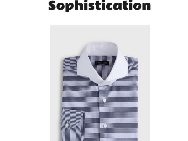 Micro Horizontal Stripe Dress Shirt