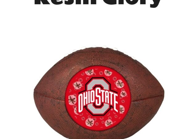 Ohio State Buckeyes 3D Resin Footballer