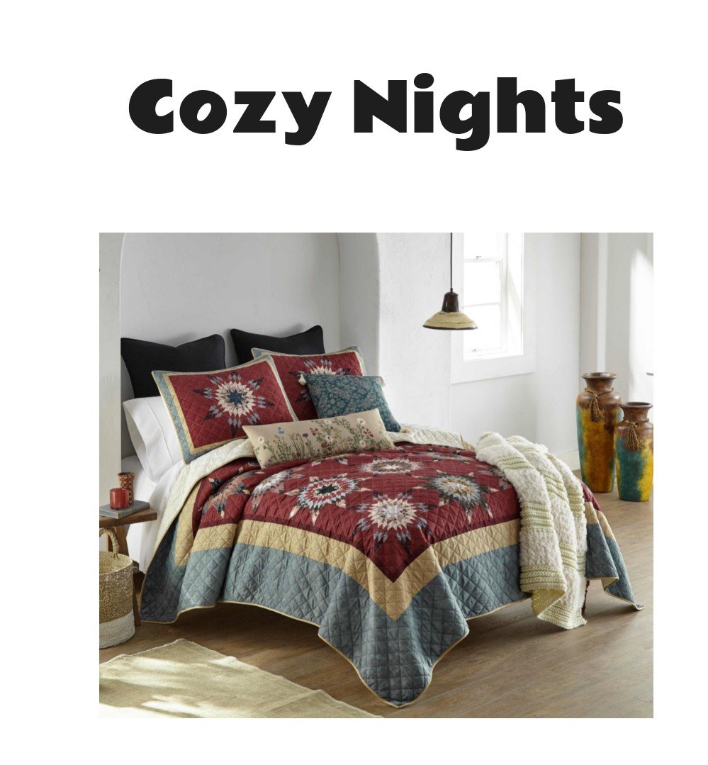Donna Sharp Southern Star Quilt Bedding Set