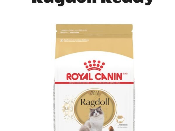 Royal Canin Feline Breed Nutrition Ragdoll Adult Dry Cat Food