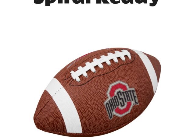 Nike Ohio State Buckeyes Replica Football