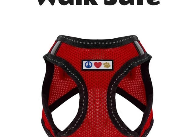 Pawtitas Reflective Mesh Dog Harness