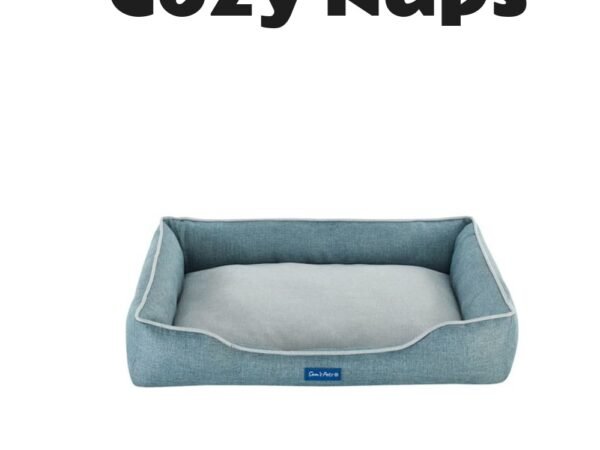 Sam's Pets Arthur Dog Bed Teal