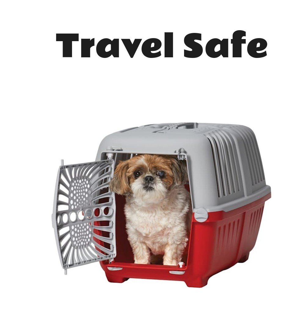 Midwest Spree Plastic Red Pet Travel Carrier