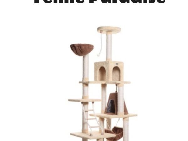 Armarkat Real Wood Cat Climber Play House with Lounge Basket