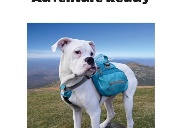 Kurgo Baxter Blue Dog Backpack