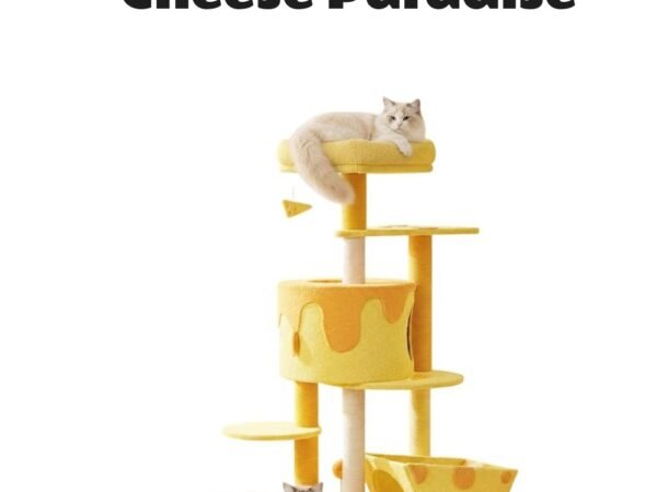 Happy & Polly Transformable Cheese Cat Tree